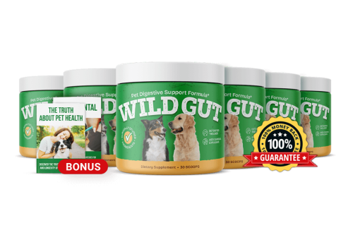 WildGut Supplement
